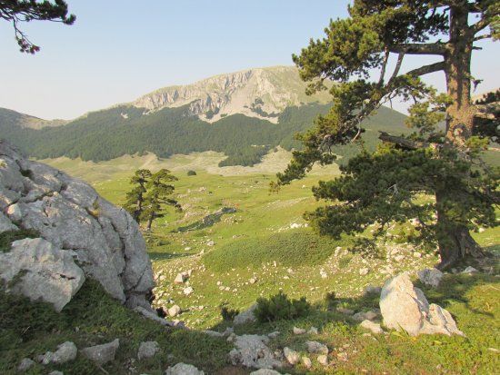 Parco Nazionale del Pollino