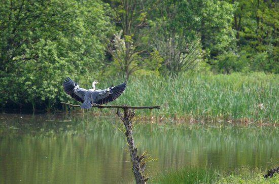 Oasi Lipu Cesano Maderno