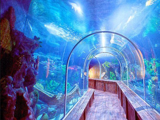 Sambil Santo Domingo