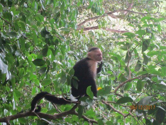 Parco Nazionale Manuel Antonio