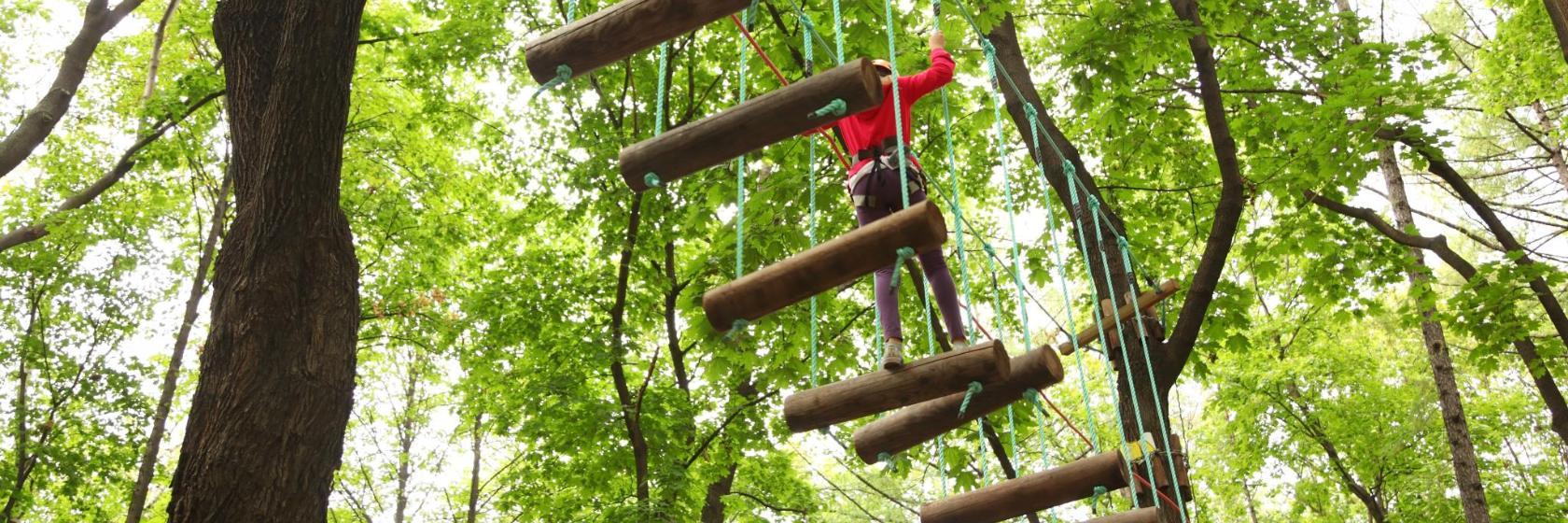 Parco avventura Jungle Parc