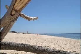 Spiaggia di Comporta