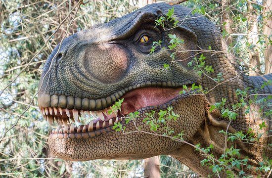 Parco Knuthenborg Safaripark