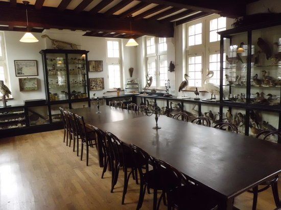 Museo di Storia Naturale