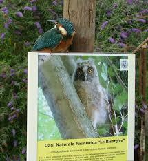 Oasi Naturale Faunistica VerdeBlu "Le Risorgive"