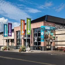 South Tipperary County Museum