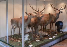 Homeland Museum in Povazska Bystrica