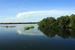 Valaichchenai Lagoon