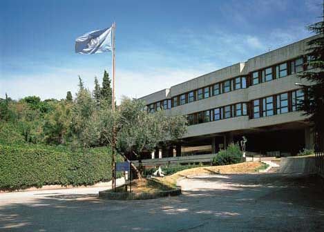 Centro Internazionale di Fisica Teorica Abdus Salam