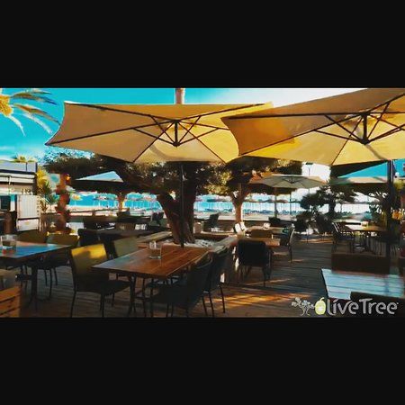 The Olive Tree Mallorca