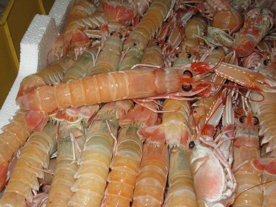 Hotel Ristorante Il Grillo