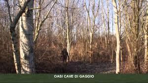 Oasi Cave di Gaggio Nord