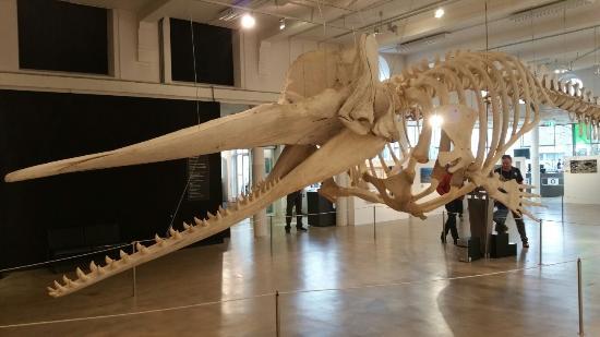 Museo naturale di Brabant