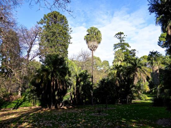 Parco Botanico Park