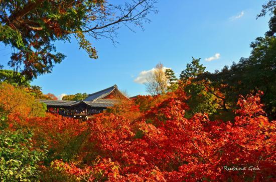 Tempio di Tofuku-ji