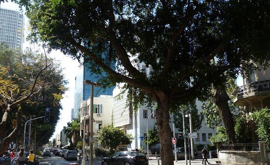 Boulevard Rothschild