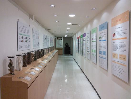 Nihondo Kampo Museum