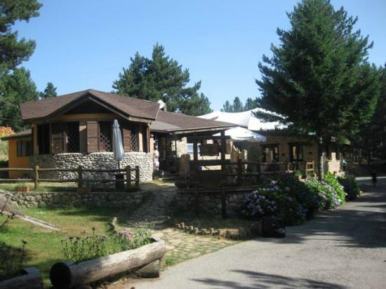 Isola di Ristoro Lago Ampollino