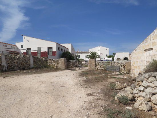 Poblat de Naviformes de Son Mercer de Baix