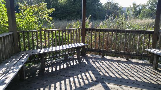 Poquonnock River Walkway