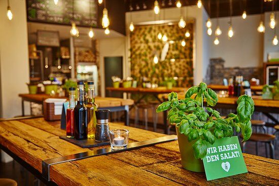 Little Green Rabbit CHECKPOINT CHARLIE