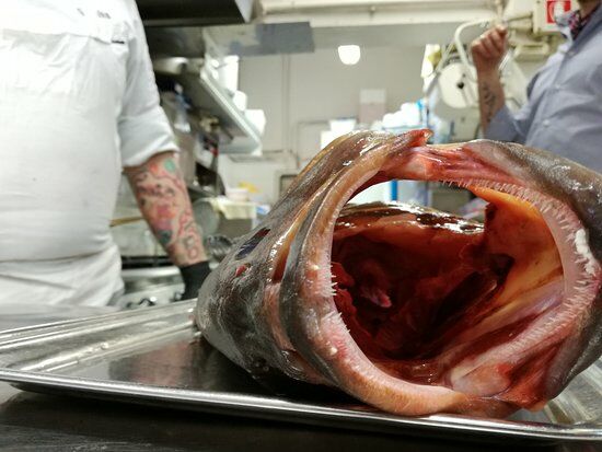 Ristorante da Lorenzo